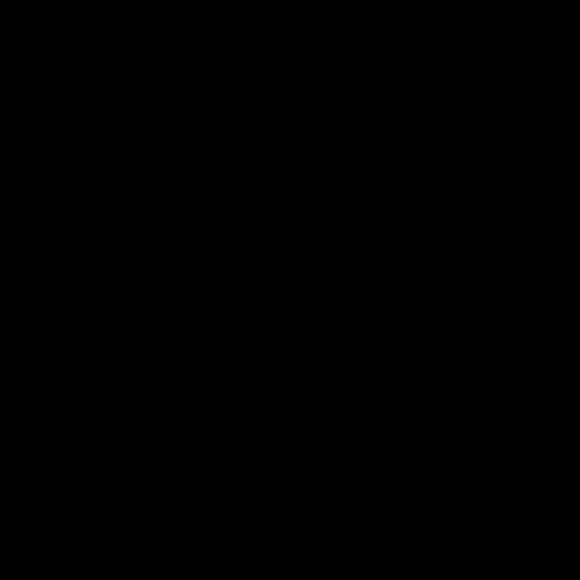 Meet your Posher, Alexis - Picture 1 of 1